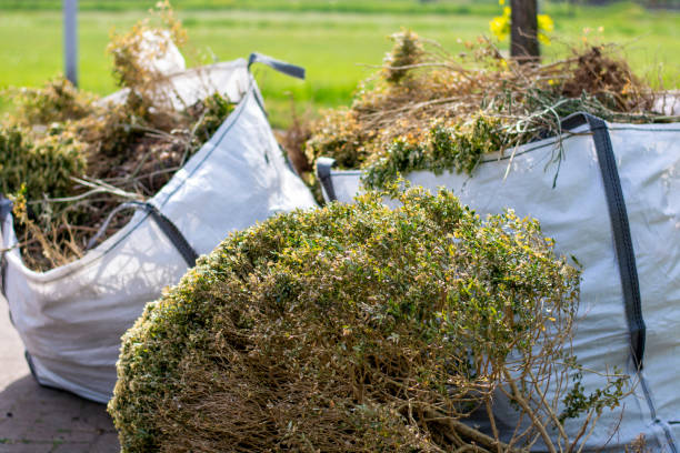 Best Local Junk Hauling  in Indian Mountain Lake, PA